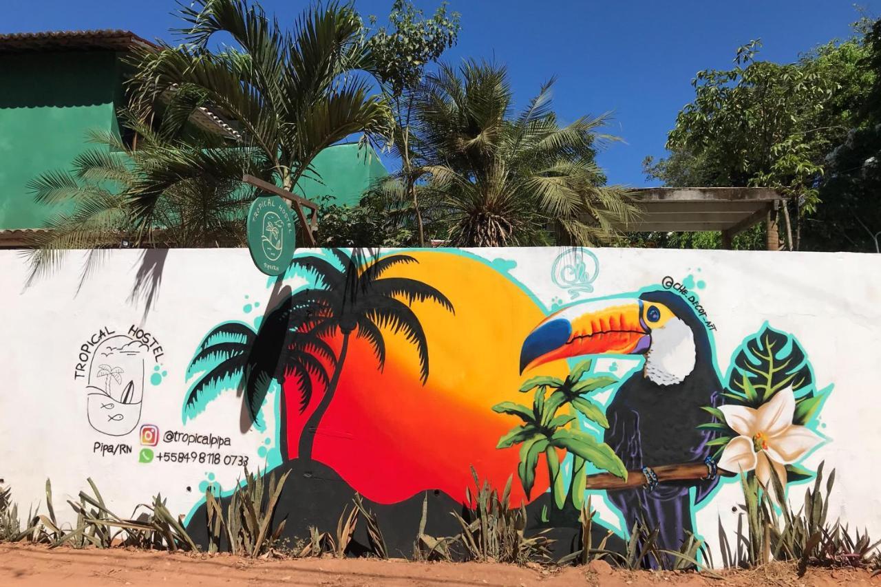 Tropical Albergue
